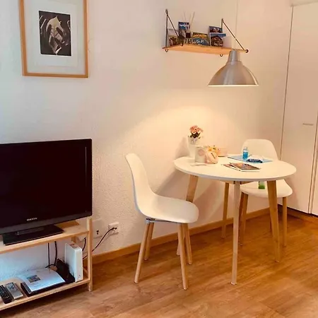 Im Modernen Alpenstyle Apartment Adelboden