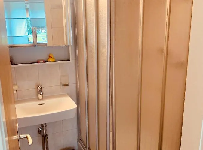 Im Modernen Alpenstyle *